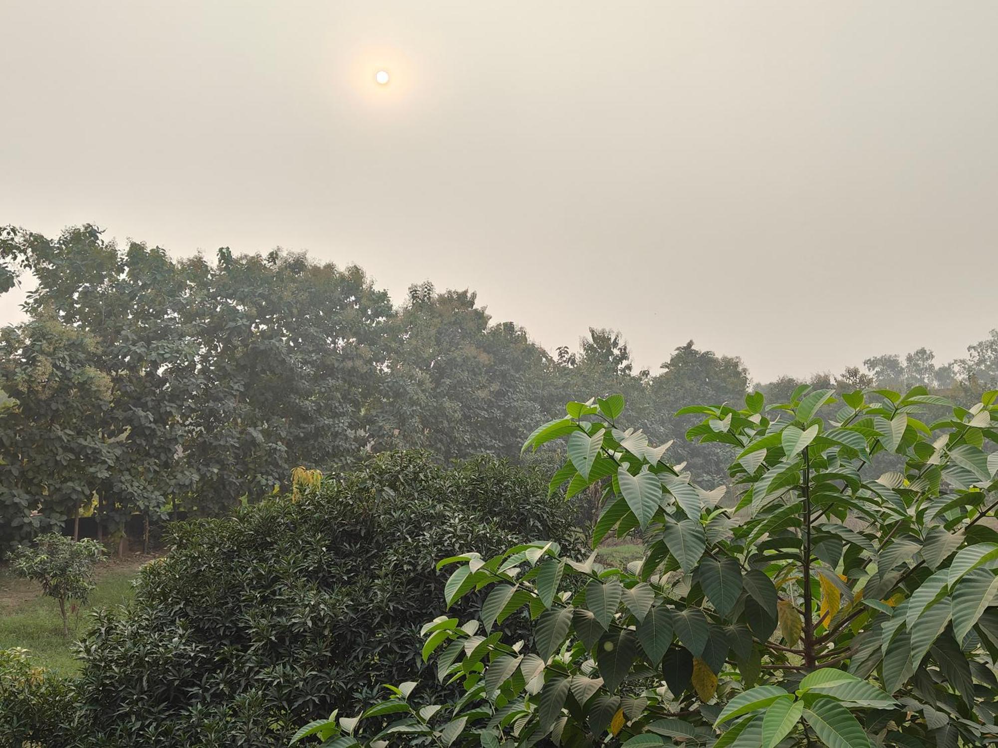 Nature Homestay Varanasi Luaran gambar